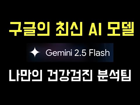 구글의 최신 AI 모델로 나만의 건강검진팀 만들기 (Gemini 2.5 Flash Preview 05-20)