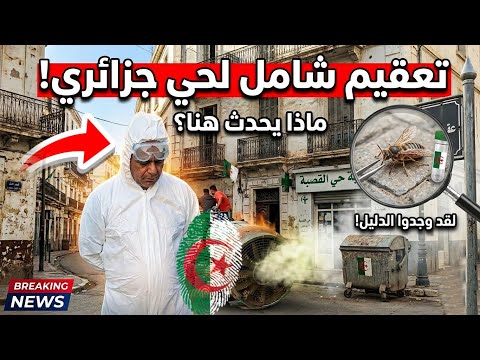حشرة غامضة تستنفر السلطات في موزاية بالبليدة: إصـ.ابة أكثر من 60 شخصا.. ماذا يحدث؟