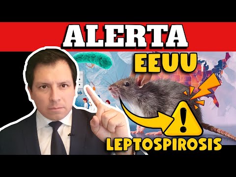 ALERTA  ? EEUU ALERTA AVANCE DE INFECCIÓN BACTERIANA ASOCIADA A RATAS !!!