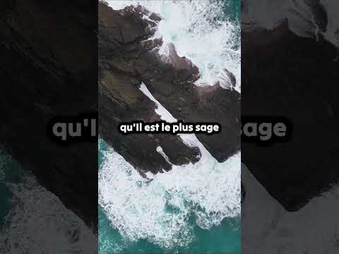 Le Créateur ou le hasard ? Ce que la nature montre vraiment #12