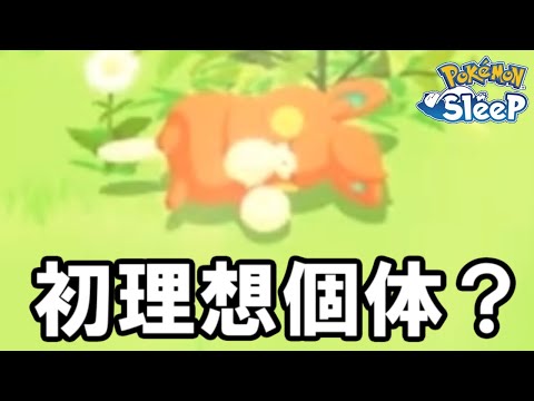 ま、厳選は続くんですけど。【ポケモンスリープ】