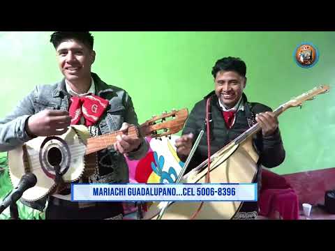 Mariachi Católico Guadalupano – El Mero Mero | Video Clip en Vivo 🎶🔥