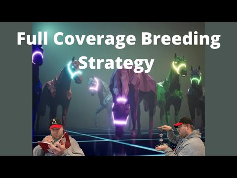 Our ZedRun Breeding Strategy | Full Coverage Breeding