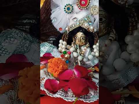 हे प्रभु अब क्या करें 🦚🙏#motivation #ytshorts #radheradhenaam