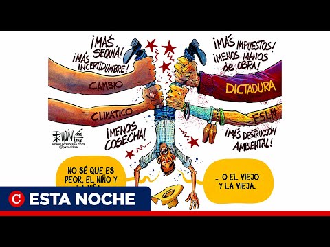 Caricatura animada de PxMolina: El dilema de los productores en Nicaragua