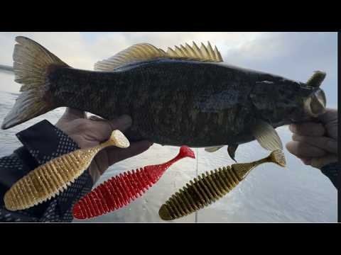 ルアーカラーってどう選ぶ？ 【バス釣り】スモールマウスバス