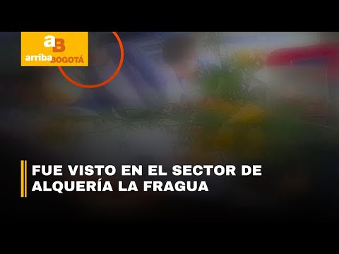 Preocupación y alerta por reaparición del falso profesor que engaña niños para robar | CityTv