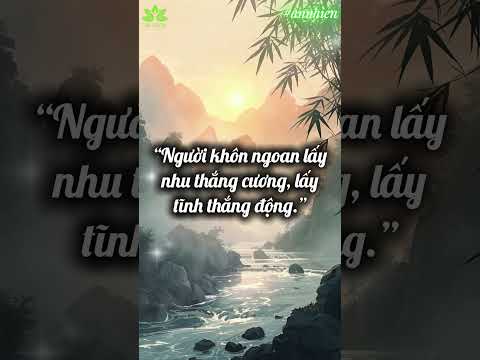 5 Lời Dạy Lão Tử Giúp Bạn Tìm Thấy Sự Tĩnh Lặng Trong Tâm Hồn | Triết Lý Sống An Nhiên