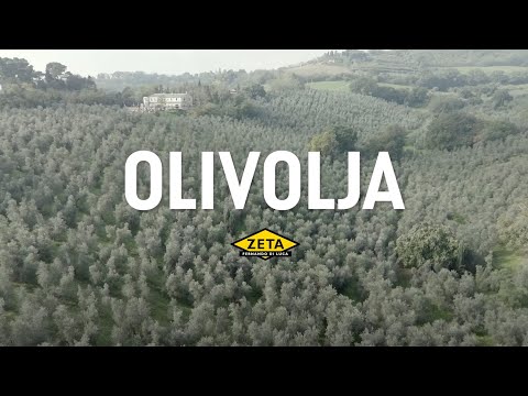 Olivolja