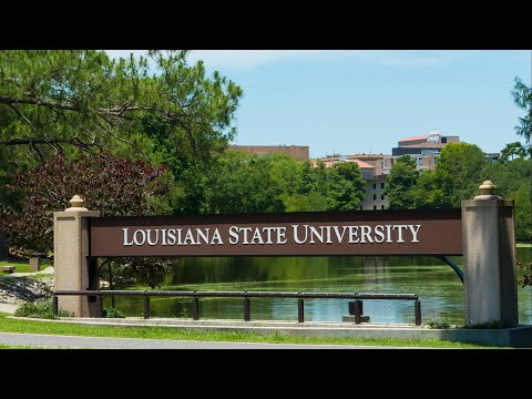 LSU student describes alleged rape by football player, questions university's response