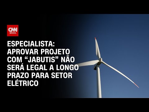 Aprovar projeto com “jabutis” não será legal a longo prazo para setor elétrico, diz especialista |WW