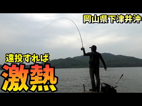 遠投すれば激熱！真夏の瀬戸内海でチヌ＆マダイ釣り in 岡山県下津井沖