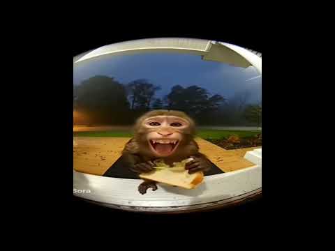 sora #sora #ai @livespeedy7451 @KaiCenatLive @MrBeast @natanporai @LooLooKids