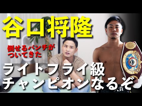 ライトフライ級の谷口将隆が強い！