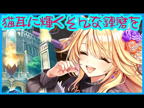 【白猫プロジェクト】猫耳ガール輝く素敵な夜にハロウィろう【武器錬磨】