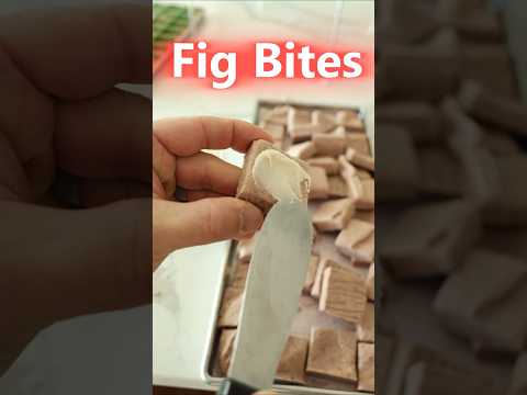 I Turned Figs Into the Perfect Snack Bites