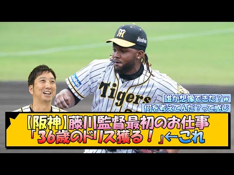 【阪神】藤川監督最初のお仕事「36歳のドリス獲る！」←これ【なんJ/2ch/5ch/ネット 反応 まとめ/阪神タイガース/岡田監督】