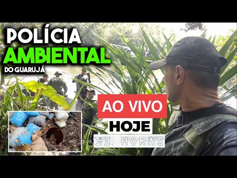 Hoje às 13h ao VIVO - Pol Ambiental do Guarujá faz um arregaço no Morro Macaco.
