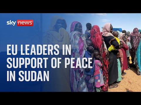 Watch live:  EU leaders meet in support of peace initiatives for Sudan