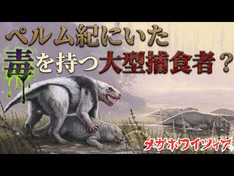 なぜ“毒”を思わせるのか? ペルム紀にいたメガホワイツィアの奇妙な頭骨とその正体【ゆっくり解説】