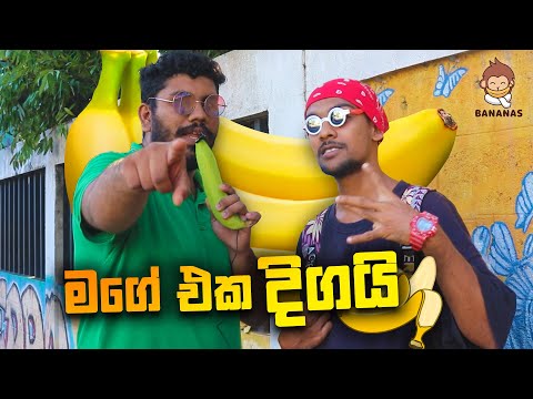 කෙහෙල් කන කොල්ලොන්ට කෙල්ලෝ ආසයි | ft Dope Boy Shanuka | Thadi on Public