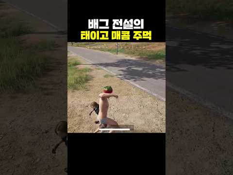 배그 전설의 태이고 매콤 주먹