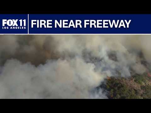 Brush <strong>fire</strong> sparks along 405 Freeway in Brentwood