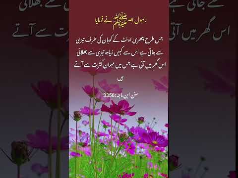 #islamic #statusvideo #prophet #hadees #deeneislam #islamicquotes #shortsvideo #shortsfeed