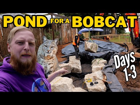 We built a Zoo Pond for a rescued Lynx in a week!  Building a One-of-a-Kind Pond for a Rescued Lynx | 3-Day Wildlife Habitat Build
What an amazing proj