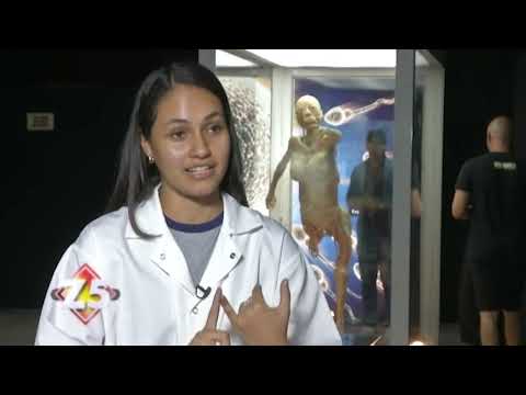 Bodies: Cuerpos Humanos Reales en Santo Domingo | Zona 5