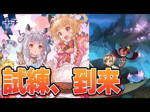 Xで流れてきた投稿に涙が止まらない　たしかにこれ試練だな？十天衆戦記【グラブル】