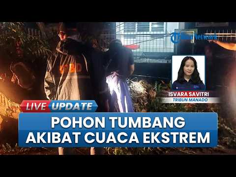 Dampak Cuaca Ekstrem, Sejumlah Pohon Tumbang di Beberapa Wilayah Manado