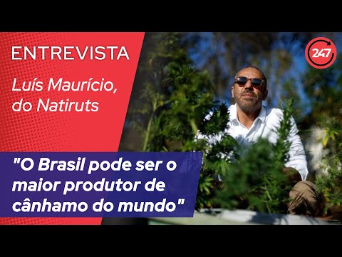 Luís Maurício, do Natiruts: O Brasil pode ser o maior produtor de cânhamo do mundo