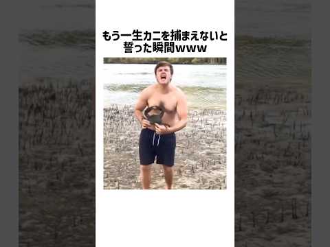 巨大カニと動物マニアの体験を深掘り サムネイル