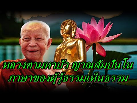 หลวงตามหาบัวญาณสัมปันโนภาษา