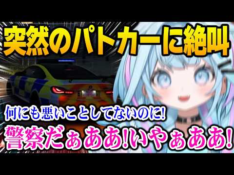 【Forza Horizon 6】突然のパトカー襲来に絶叫するすうちゃんw【DEV_IS FLOW GLOW ホロライブ】