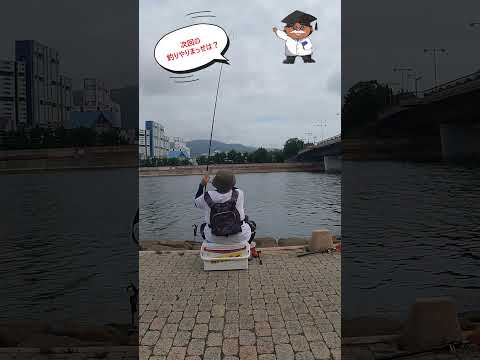 次回の釣りやりまっせは？　#shorts