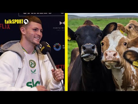 I Want TWO Cows! Callum Walsh talks journey to USA via Mexico, signing with Dana White & More!
