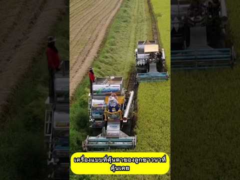 นายุคใหม่เท็นเดอร์farmingกิ