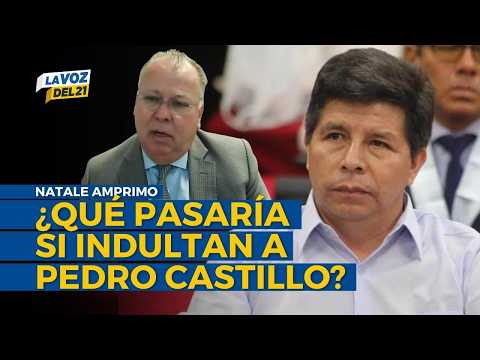 Natale Amprimo sobre INDULTO A PEDRO CASTILLO: "Balcázar y ministros pueden ser denunciados"