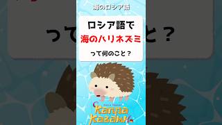 ロシア語で「海のハリネズミ」ってなんのこと？🦔　#shorts #ロシア語