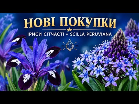 #цибулиннірослини у моєму садку #покупки #2026