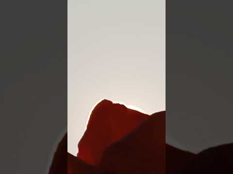 mng view #shorts @nirmal videos