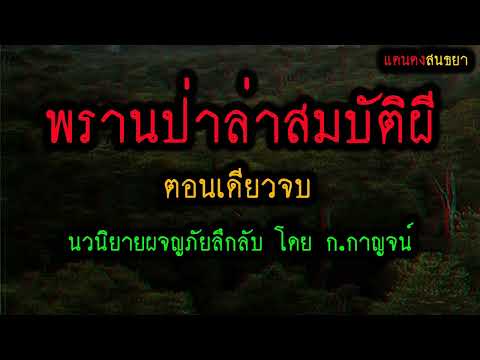 พรานป่าล่าสมบัติผี(ตอนเดียวจบ)