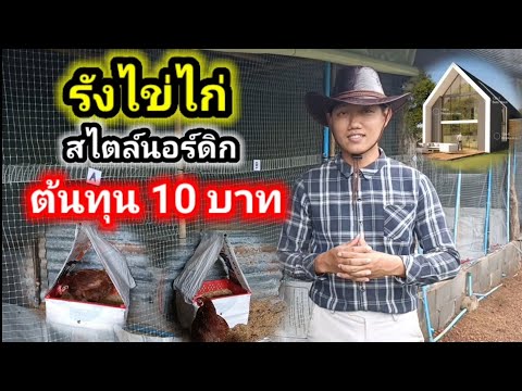 รังไข่ไก่สไตล์นอร์ดิกต้นทุน