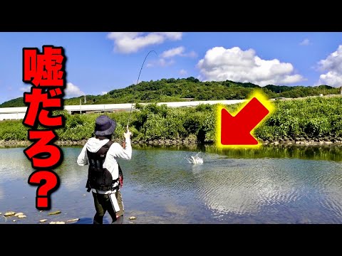 田舎の川でトップ投げたら、とんでもない化け物が掛かってしまった‼️