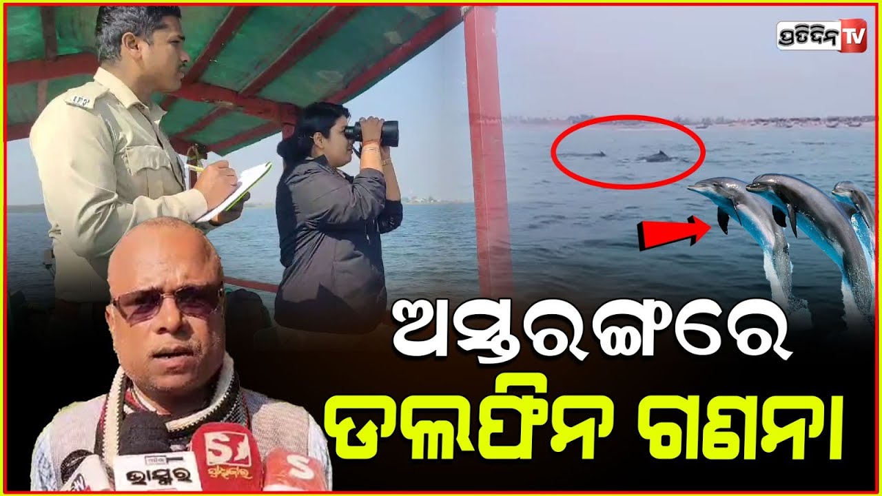 ଅସ୍ତରଙ୍ଗ ବନ୍ୟପ୍ରାଣୀ ବନାଞ୍ଚଳ ରେ ୩ ଦିନ ହେବ ଡଲଫିନ ଗଣନା। Dolphin census begins in Astaranga ,Puri