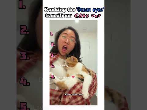 Ranking 'Ocean eyes' transitions but Cats ver #marriageproposals