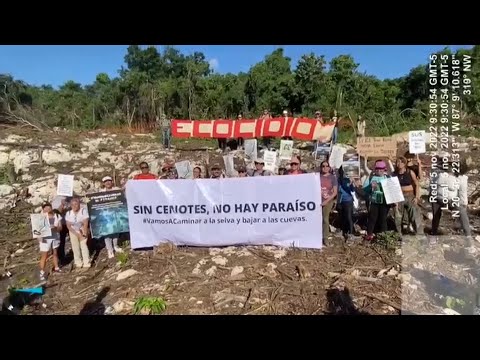 Ecocidio en el paraíso: la devastación del Tren Maya en México