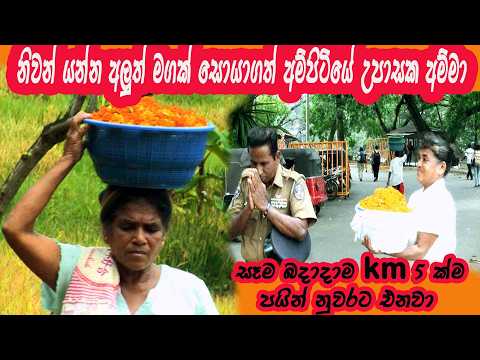 නිවන් යන්න අලුත් මගක් සොයාගත් අම්පිටියේ උපාසක අම්මා. සෑම බදාදාම KM 5 ක්ම නුවරට පයින්ම එනවා #kandy